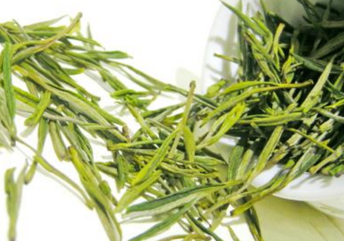 安吉白茶到底是不是白茶 是绿茶吗