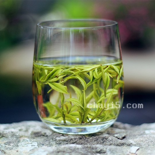 茶叶安吉白茶的作用与禁忌