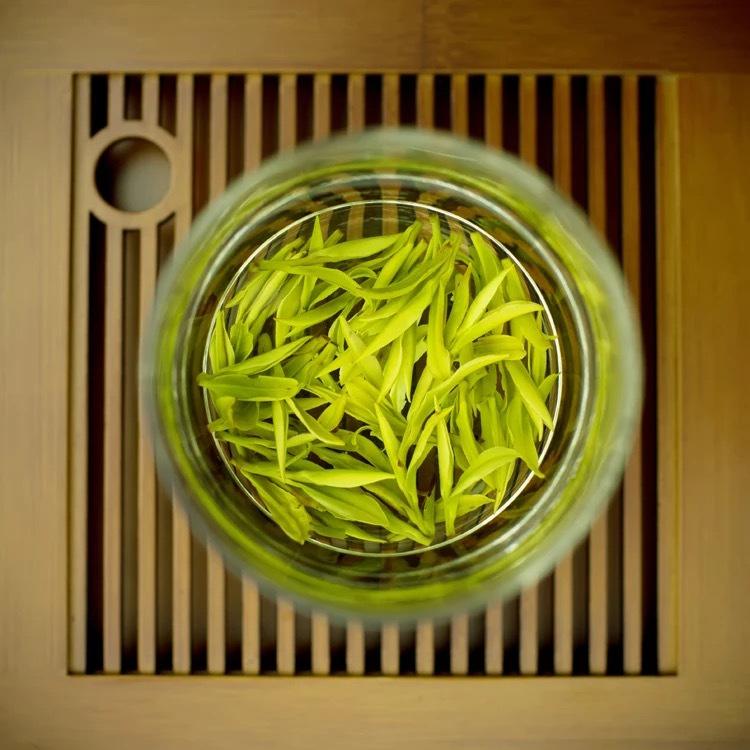 安吉白茶的功效与禁忌事项