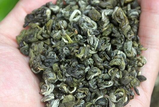玉螺茶与碧螺春的区别 碧螺春的特点
