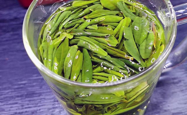 六安瓜片的品质特征以及功效与作用