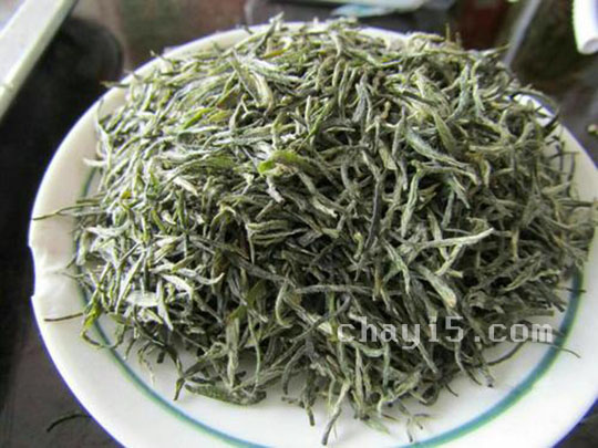 信阳毛尖属于什么茶