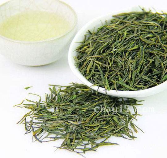 茶叶信阳毛尖的作用与禁忌