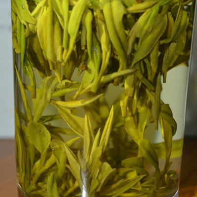 黄山毛峰属于什么茶 怎么保存