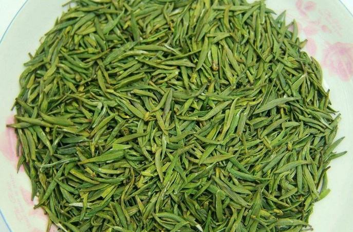 竹叶青茶的功效与禁忌事项