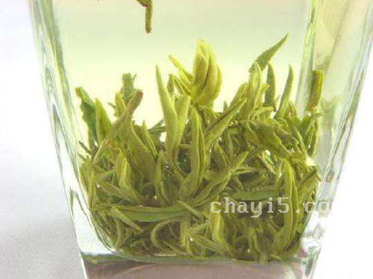 茶叶都匀毛尖的作用与禁忌