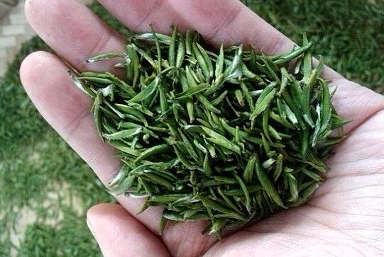 竹叶青可以煮着喝吗 竹叶青和蒙顶甘露哪个好