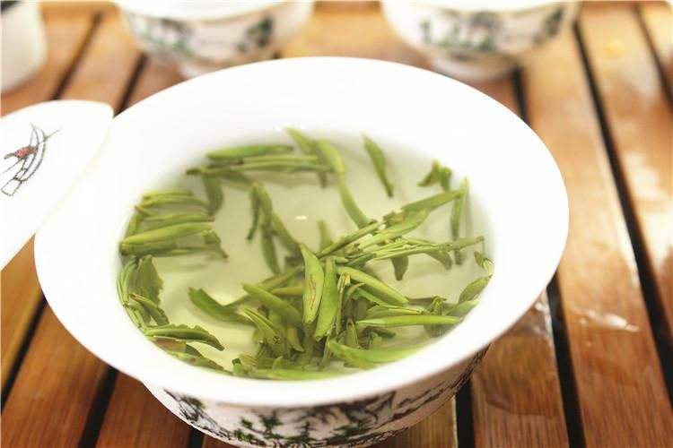 金坛雀舌的功效与禁忌事项