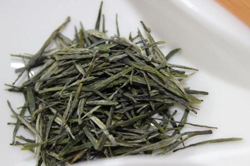 恩施玉露的功效与禁忌事项