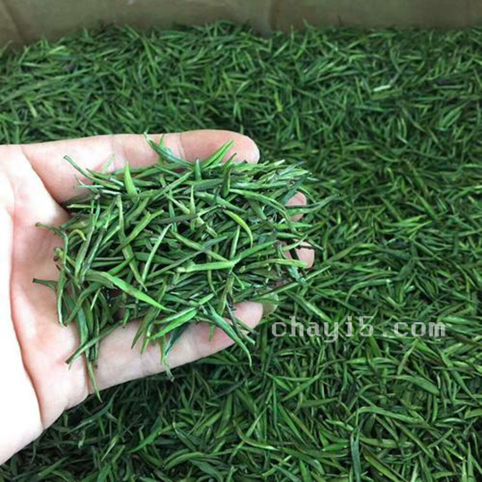 茶叶湄潭翠芽的作用与禁忌