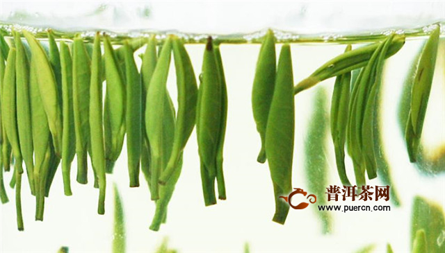 湄潭翠芽冲泡水温，以85－90℃为宜！
