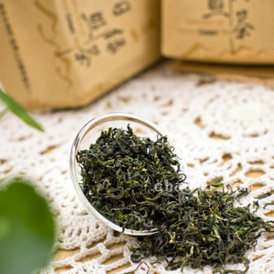 日照绿茶正宗产地在哪里