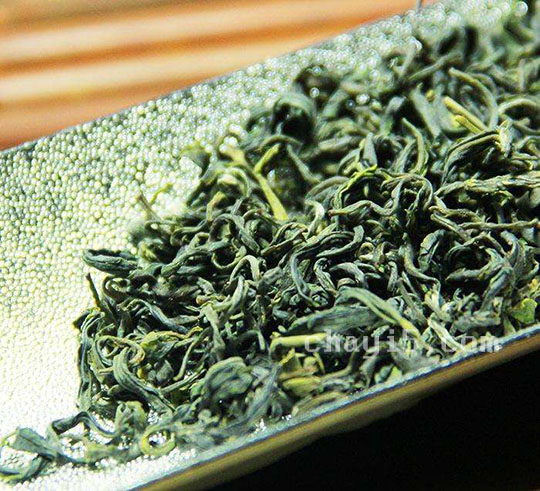 茶叶日照绿茶的作用与禁忌