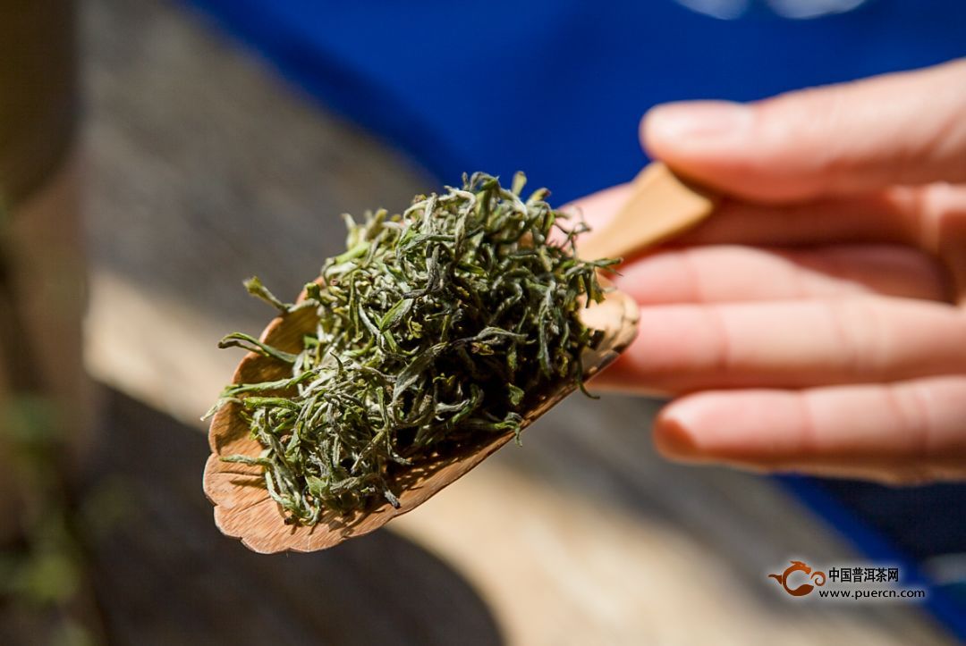 日照绿茶要怎么挑选，日照绿茶的挑选方法