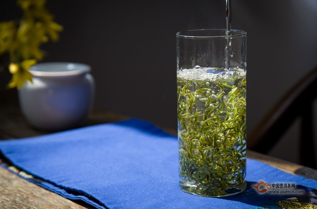 日照绿茶要怎么挑选，日照绿茶的挑选方法