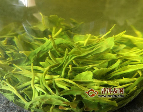 日照绿茶多少钱一斤，哪些因素影响了价格