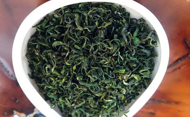 崂山绿茶的制作工艺