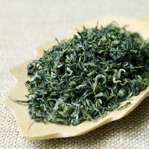 崂山绿茶的功效与禁忌事项