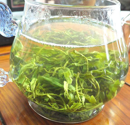 崂山绿茶的功效与禁忌事项