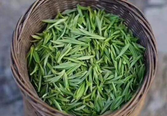 岳西翠兰茶叶价格和档次 岳西翠兰茶叶多少钱一斤