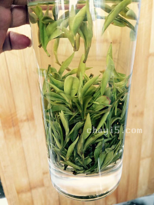 茶叶岳西翠兰的作用与禁忌
