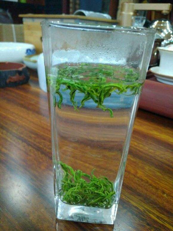 保靖黄金茶的功效与禁忌事项