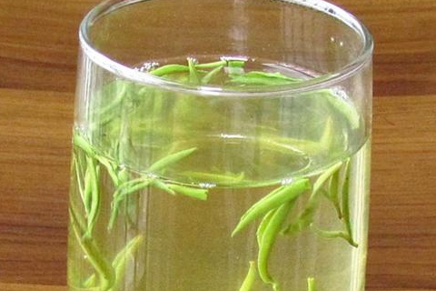 保靖黄金茶产地环境