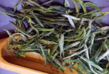 舒城小兰花是什么茶-茗扬网