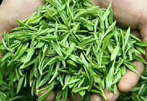 舒城小兰花和霍山黄芽谁好 舒城小兰花和霍山黄芽的区别