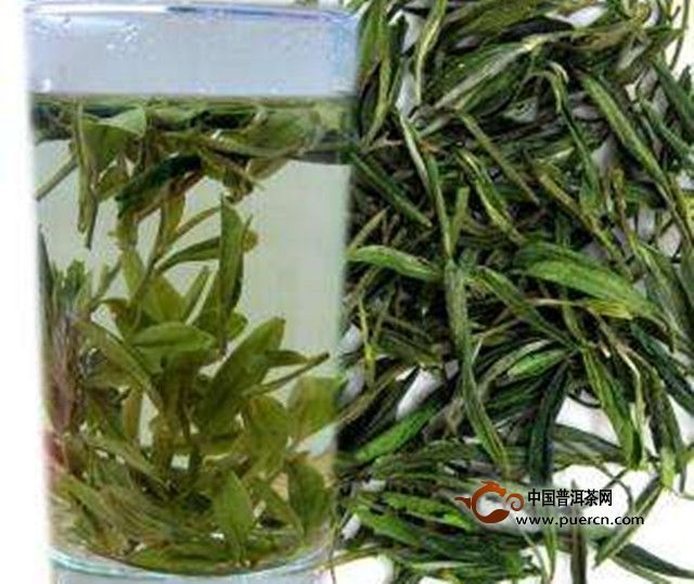 舒城小兰花营养价值
