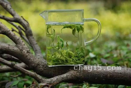茶叶径山茶的作用与禁忌