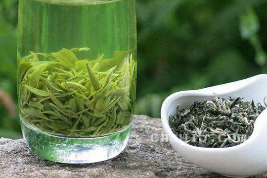 庐山云雾茶的功效与作用 庐山云雾茶的泡法