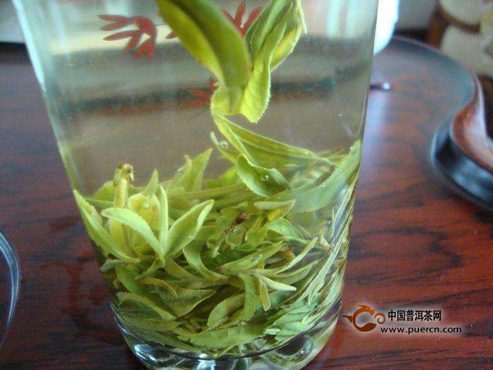 如何挑选庐山云雾茶【挑选技巧分享】