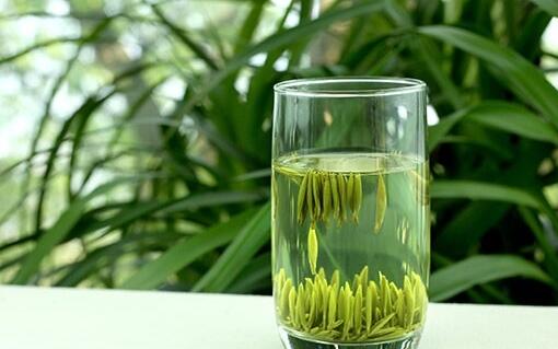 永川秀芽是什么档次 永川秀芽和碧螺春哪个好
