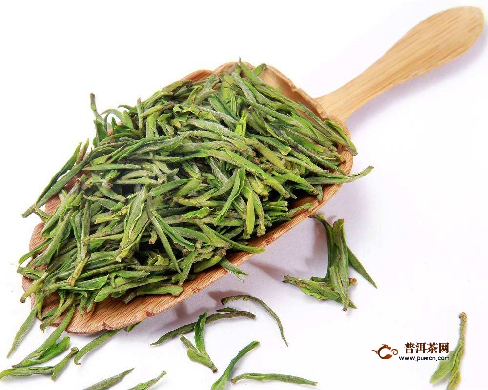 永川秀芽怎么保存？保存永川秀芽的禁忌事项