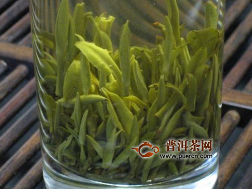 永川秀芽有什么样的品质特征？