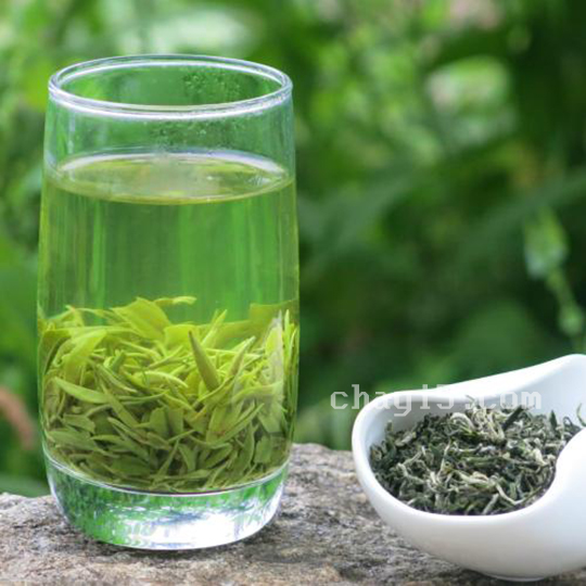 茶叶英山云雾茶的作用与禁忌
