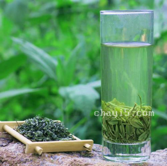 茶叶英山云雾茶的作用与禁忌