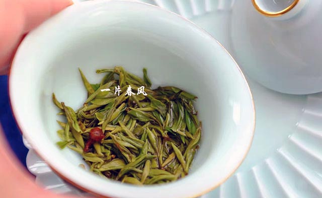 顾渚紫笋是什么茶