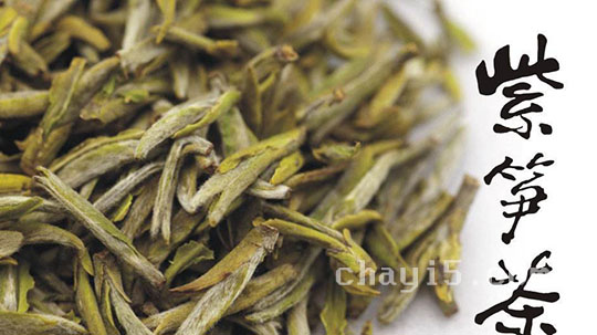 茶叶顾渚紫笋的作用与禁忌