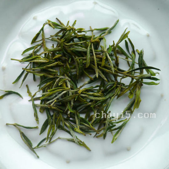 顾渚紫笋的功效与作用 顾渚紫笋的泡法