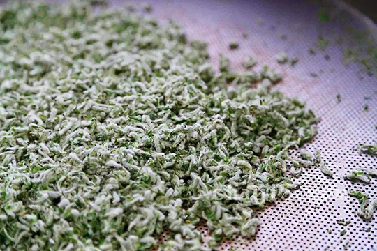 无锡毫茶的功效与作用 无锡毫茶的泡法