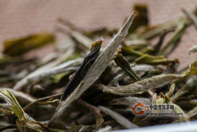 无锡毫茶的品质特点