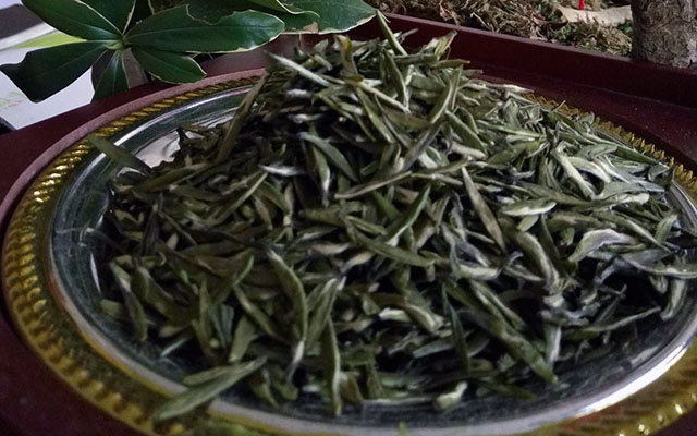 镇江金山翠芽是什么茶