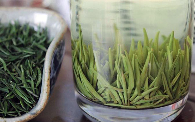 镇江金山翠芽是什么茶