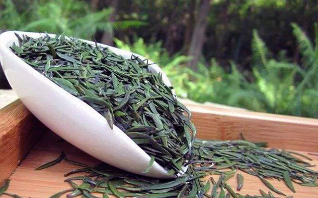 镇江金山翠芽是什么茶