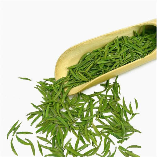 金山翠芽的功效与禁忌事项