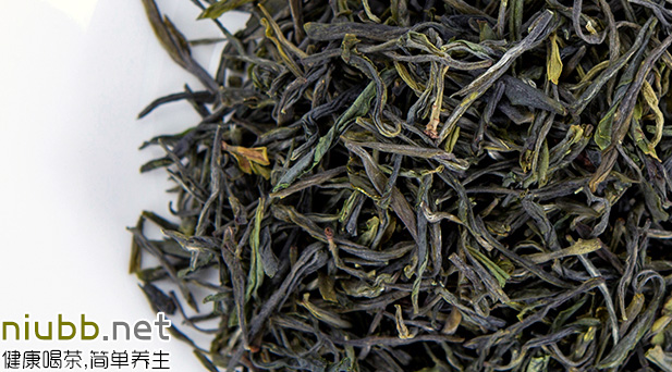 金山翠芽属于什么茶