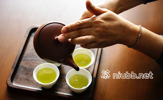 金山翠芽属于什么茶