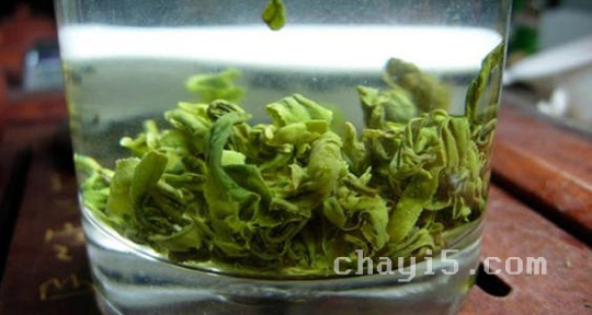 涌溪火青的功效与作用 涌溪火青的泡法